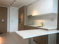 Nine Residences (D27), Apartment #456035111